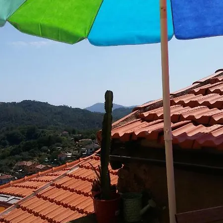 La Casa Dei Cactus * Carnea
